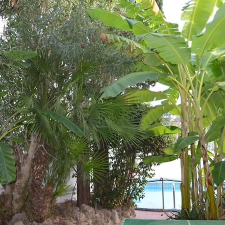 Il Kent Apartment Ischia Exterior photo